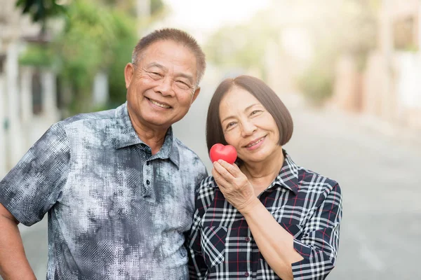 Feliz senior asiático pareja al aire libre —  Fotos de Stock