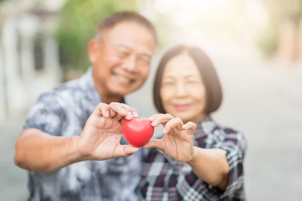 Feliz senior asiático pareja —  Fotos de Stock