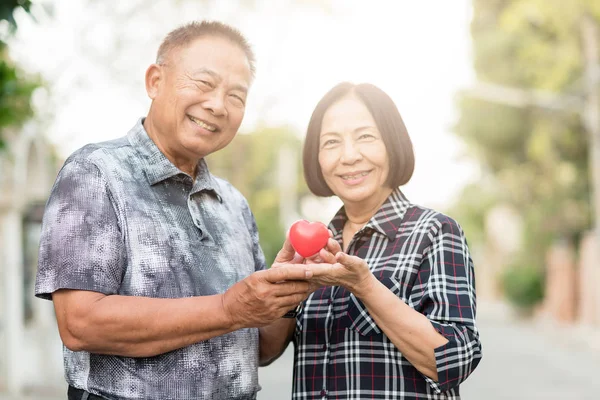 Feliz senior asiático pareja sonriendo —  Fotos de Stock