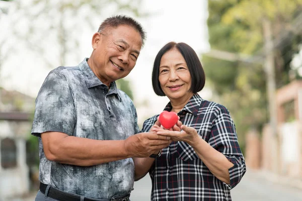 Feliz asiática senior pareja sonriendo —  Fotos de Stock