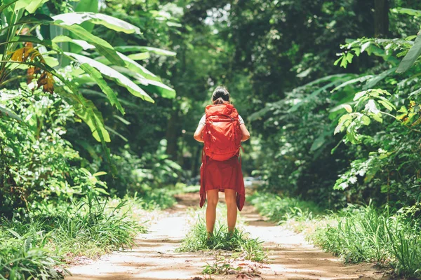 Азіатський жінка мандрівник з рюкзак в лісі — стокове фото