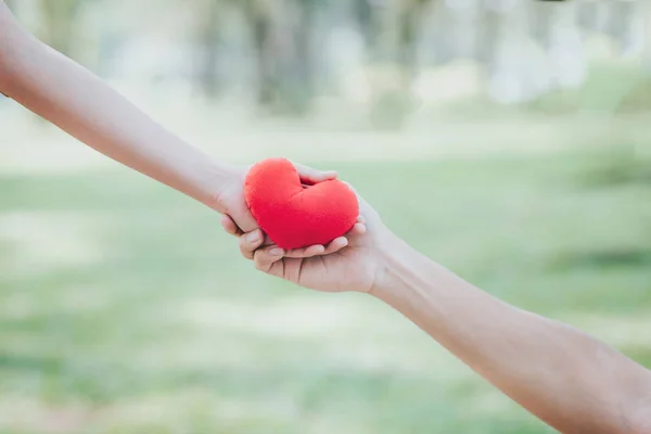 Frauenhand Gibt Rotes Herz Andere Hand Auf Grünem Hintergrund — Stockfoto