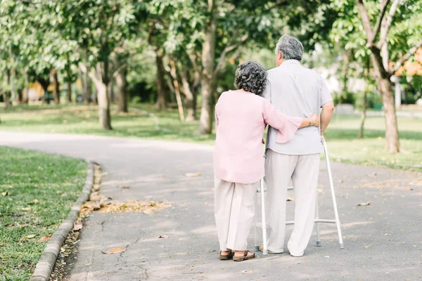 公園で歩行と散歩を話している年配のカップルを愛するの背面図 — ストック写真