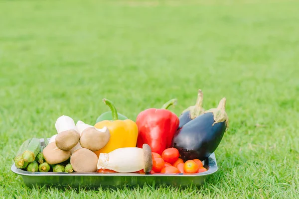 Vegetales frescos en plato de plata —  Fotos de Stock