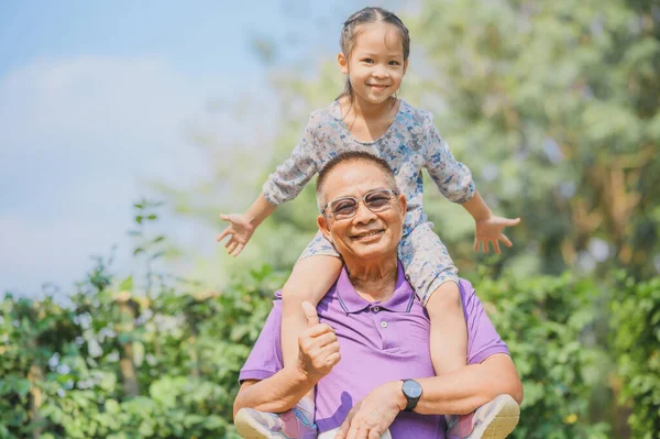 Mutlu Asyalı Büyükbabanın Portresi Dışarıda Parkta Duran Torununu Sırtında Taşıyor — Stok fotoğraf