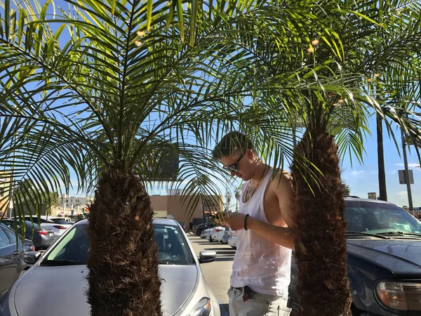 Junger modischer Mann mit Sonnenbrille und weißem T-Shirt, der an heißen Sommertagen unter Palmen chillt und SMS schreibt — Stockfoto