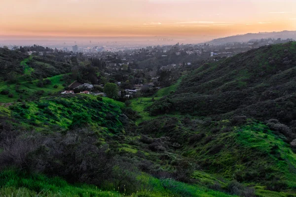 Beautiful nature landscape with hills and green grass and Los Angeles City in valley at sunset time — Stock Photo, Image