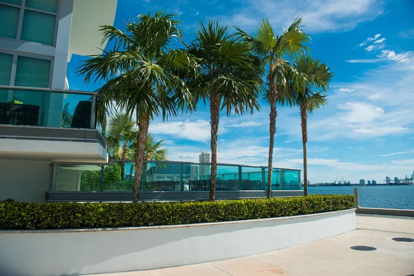 Palmen in de buurt van condominium gebouw in Miami Downtown op zonnige dag — Stockfoto