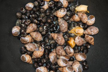 Pan Fried salyangoz. Egzotik deniz ürünleri kavramı.