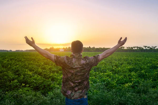 Bonde man står med armarna upp på det gröna fältet före skörden. Människor frihet på naturen koncept. — Stockfoto