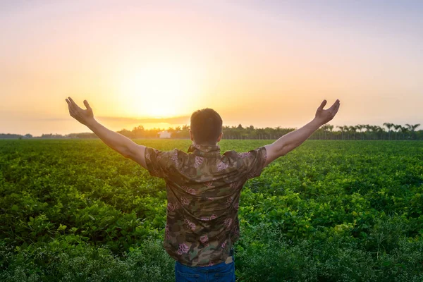 Homem agricultor de pé com as armas levantadas no campo verde antes da colheita. Pessoas liberdade no conceito de natureza . — Fotografia de Stock