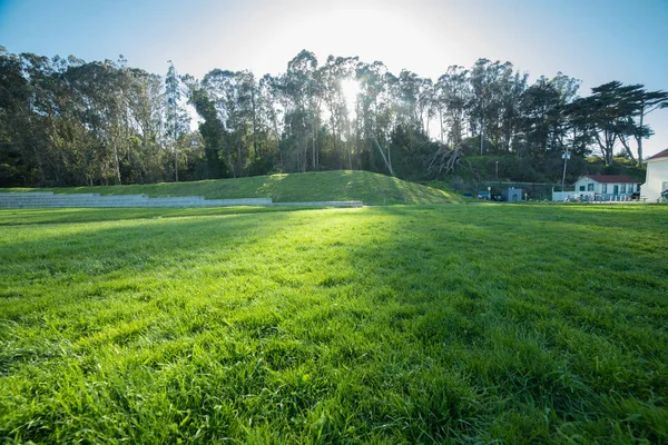 Green Grass Lawn Sunset Time Golden Gate City Park San — Stock Photo, Image