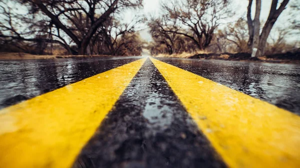 Nahaufnahme Foto Von Gelben Markierungsstreifen Auf Nasser Asphaltstraße Wald — Stockfoto