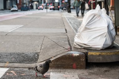 Çöpler New York sokaklarında beyaz plastik çöp torbasında toplanıp alınmayı bekliyor.