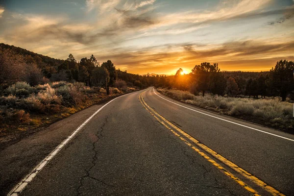 Scenic Asphalt Country Road Sunset Time Forest — Stock Photo, Image