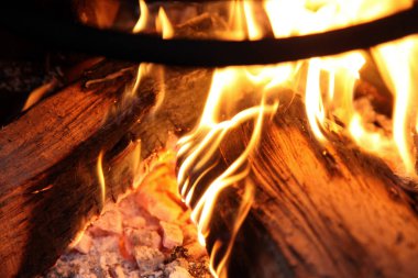 Şöminede yakacak odun yakın.