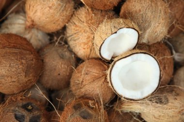 Hindistan cevizi Hindistan gıda pazarında yığını