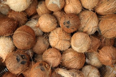 Hindistan cevizi Hindistan gıda pazarında yığını