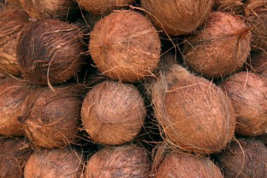 Hindistan cevizi Hindistan gıda pazarında yığını