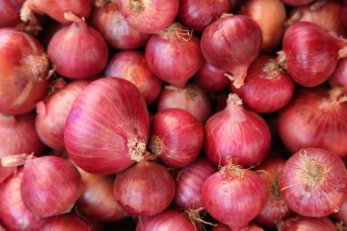 Kırmızı soğan yığını 