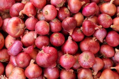 Kırmızı soğan yığını 