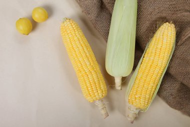 Taze mısır koçanı doku arka plan, portre, üstten görünüm