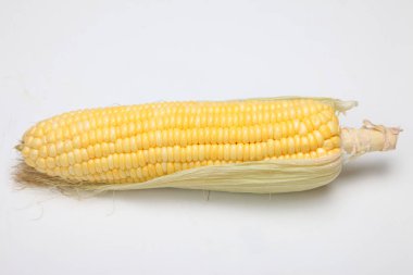 Taze mısır koçanı doku arka plan, portre, üstten görünüm