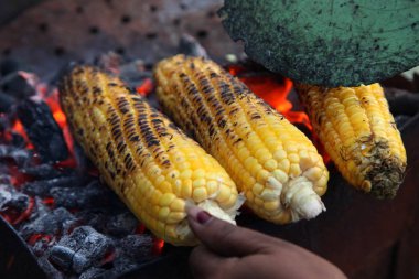 Taze kavrulmuş ya da ızgara corncobs. Izgarada Mısır sokakta Satılık.