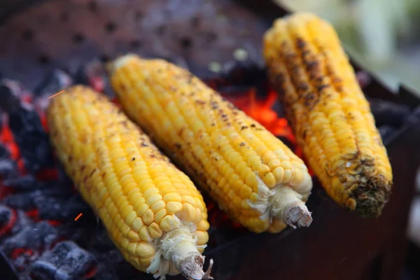 Taze kavrulmuş ya da ızgara corncobs. Izgarada Mısır sokakta Satılık.