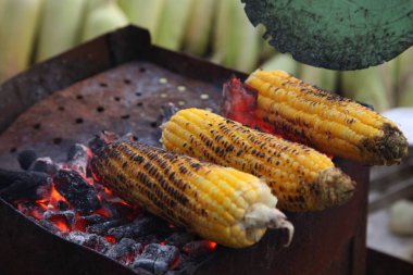 Taze kavrulmuş ya da ızgara corncobs. Izgarada Mısır sokakta Satılık.