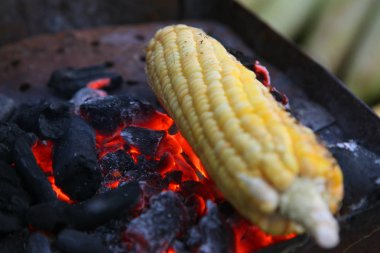 Taze kavrulmuş ya da ızgara corncobs. Izgarada Mısır sokakta Satılık.