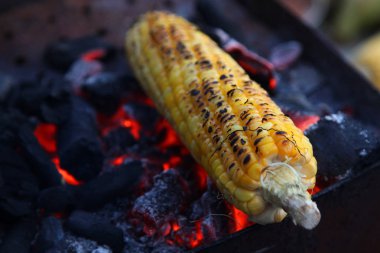 Taze kavrulmuş ya da ızgara corncobs. Izgarada Mısır sokakta Satılık.