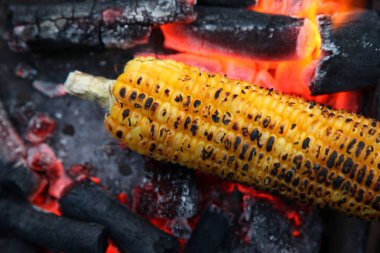 Taze kavrulmuş ya da ızgara corncobs. Izgarada Mısır sokakta Satılık.