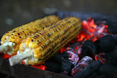 Taze kavrulmuş ya da ızgara corncobs. Izgarada Mısır sokakta Satılık.