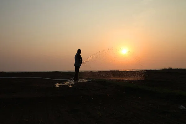 Silhouette A Person Watering To seeds in the field