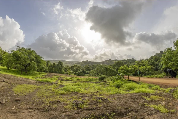 Vista Floresta Tropical Parque Nacional Sanjay Gandhi Mumbai Maharashtra Índia — Fotografia de Stock