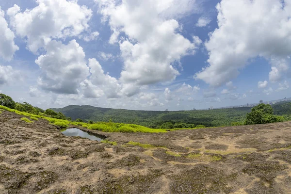 Vista Floresta Tropical Parque Nacional Sanjay Gandhi Mumbai Maharashtra Índia — Fotografia de Stock