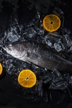 Fresh sea bass fish on ice on a black stone table top view clipart