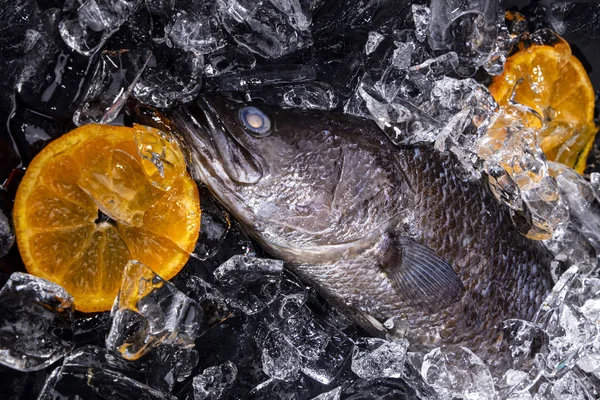 Frischer Wolfsbarsch Auf Eis Auf Einem Tisch Aus Schwarzem Stein — Stockfoto