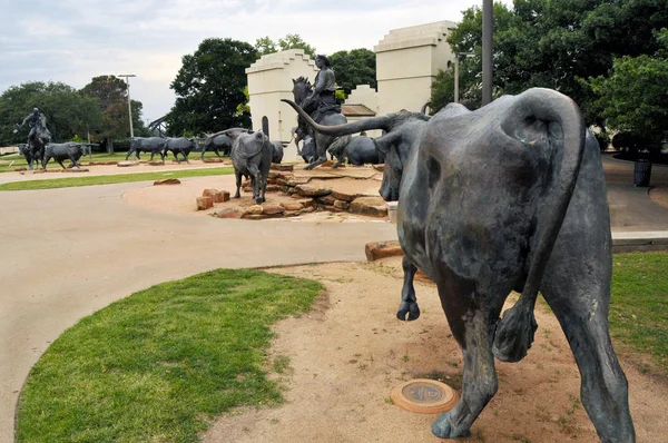 The Waco Cattle Drive — Stock Photo, Image