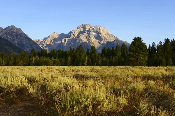 Monte Moran Grand Teton National Park — Fotografia de Stock