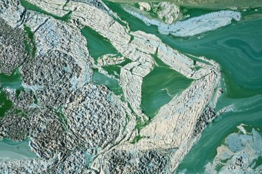 Mavi - yeşil algler göl kenarında