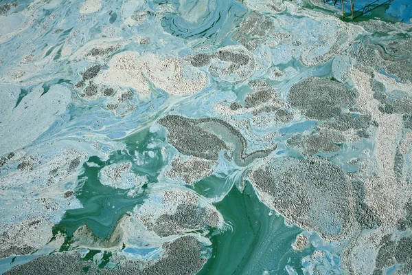 Blue-green algae on lake — Stock Photo, Image