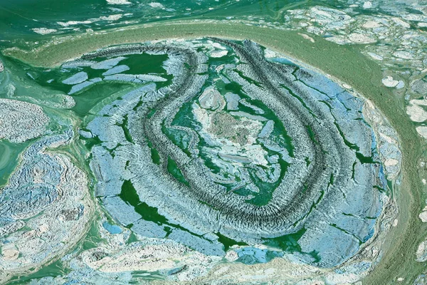 湖に青緑色の藻 — ストック写真
