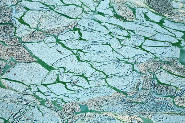 Ganggang biru-hijau di danau — Stok Foto