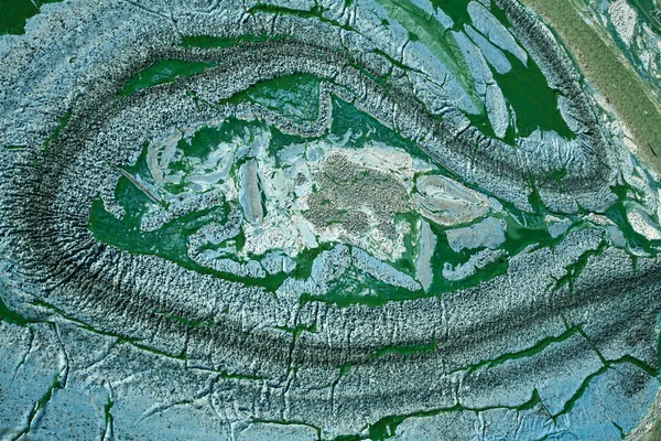 Mavi - yeşil algler göl kenarında — Stok fotoğraf