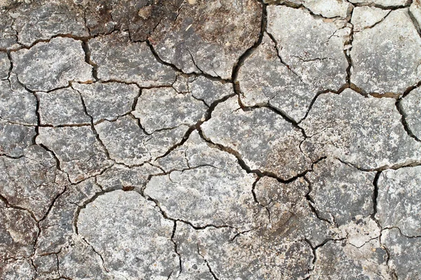 Riss im trockenen Boden — Stockfoto