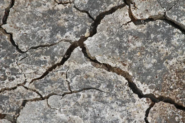 Cracked dry ground — Stock Photo, Image