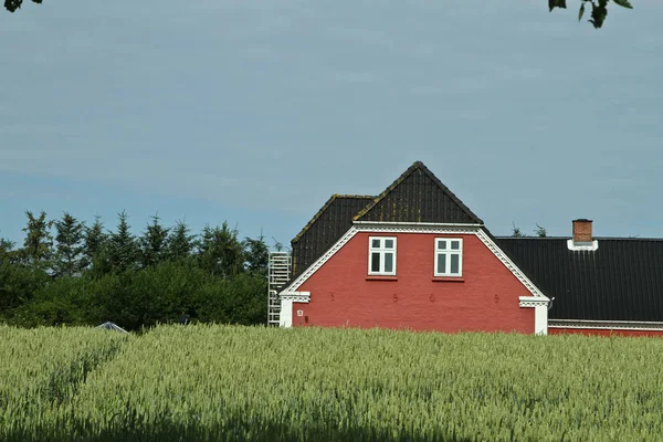Maison rouge près du champ vert — Photo