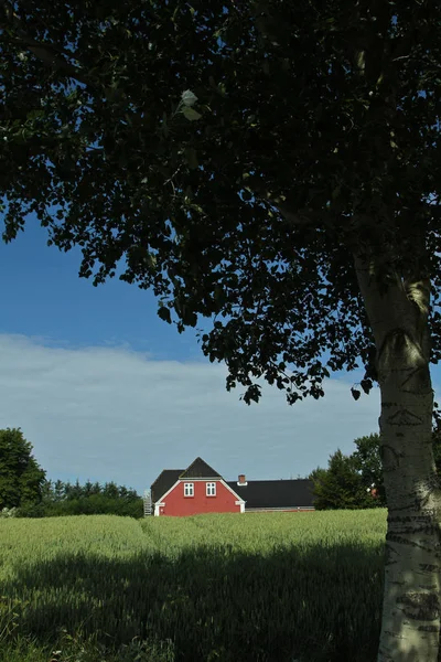 Красный дом возле зеленого поля — стоковое фото